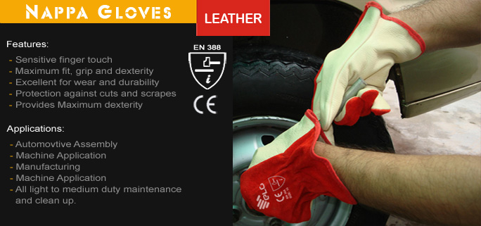 Nappa Leather Gloves